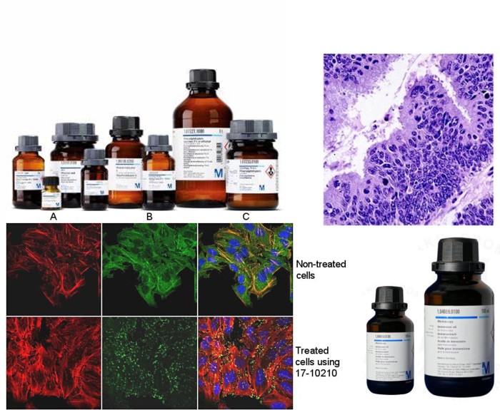 112122.0010	PALCAM Listeria Selective-¦Supplement acc. to van Netten et al.